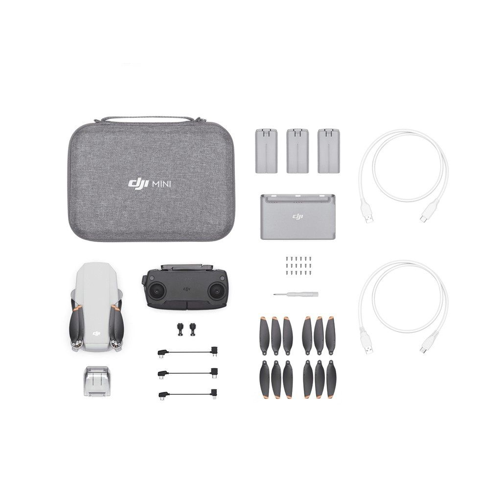 Mavic mini deals dji combo